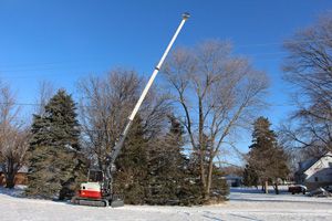 Loftness-Tree-Trimmer.jpg